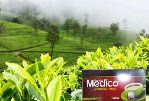 medico-tea